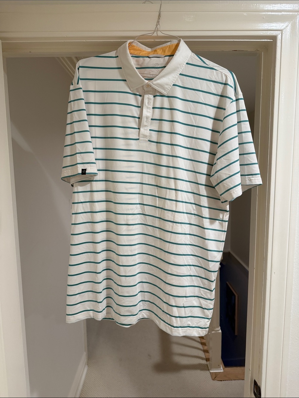 Men's Striped White Polo with Teal Lines